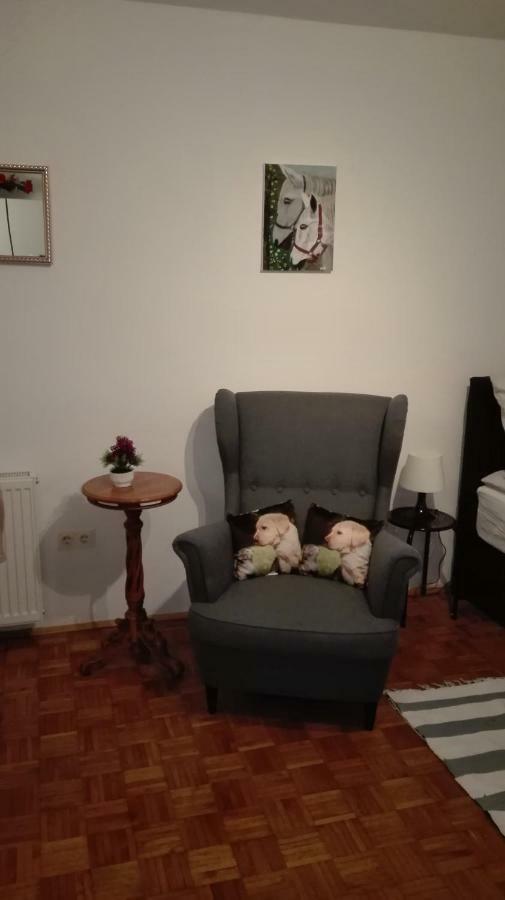 Apartament Studio Apartman Dinko Zagrzeb Zewnętrze zdjęcie