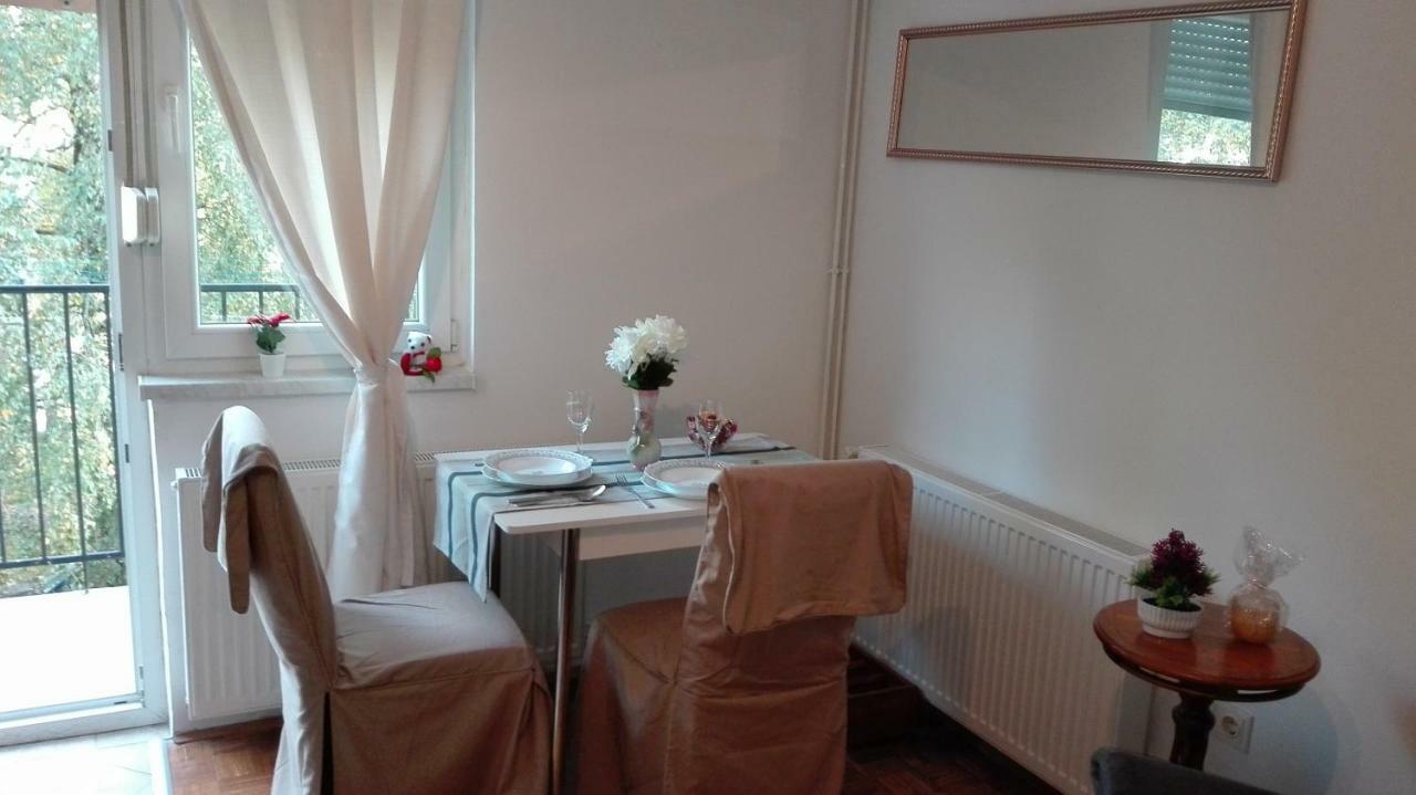 Apartament Studio Apartman Dinko Zagrzeb Zewnętrze zdjęcie